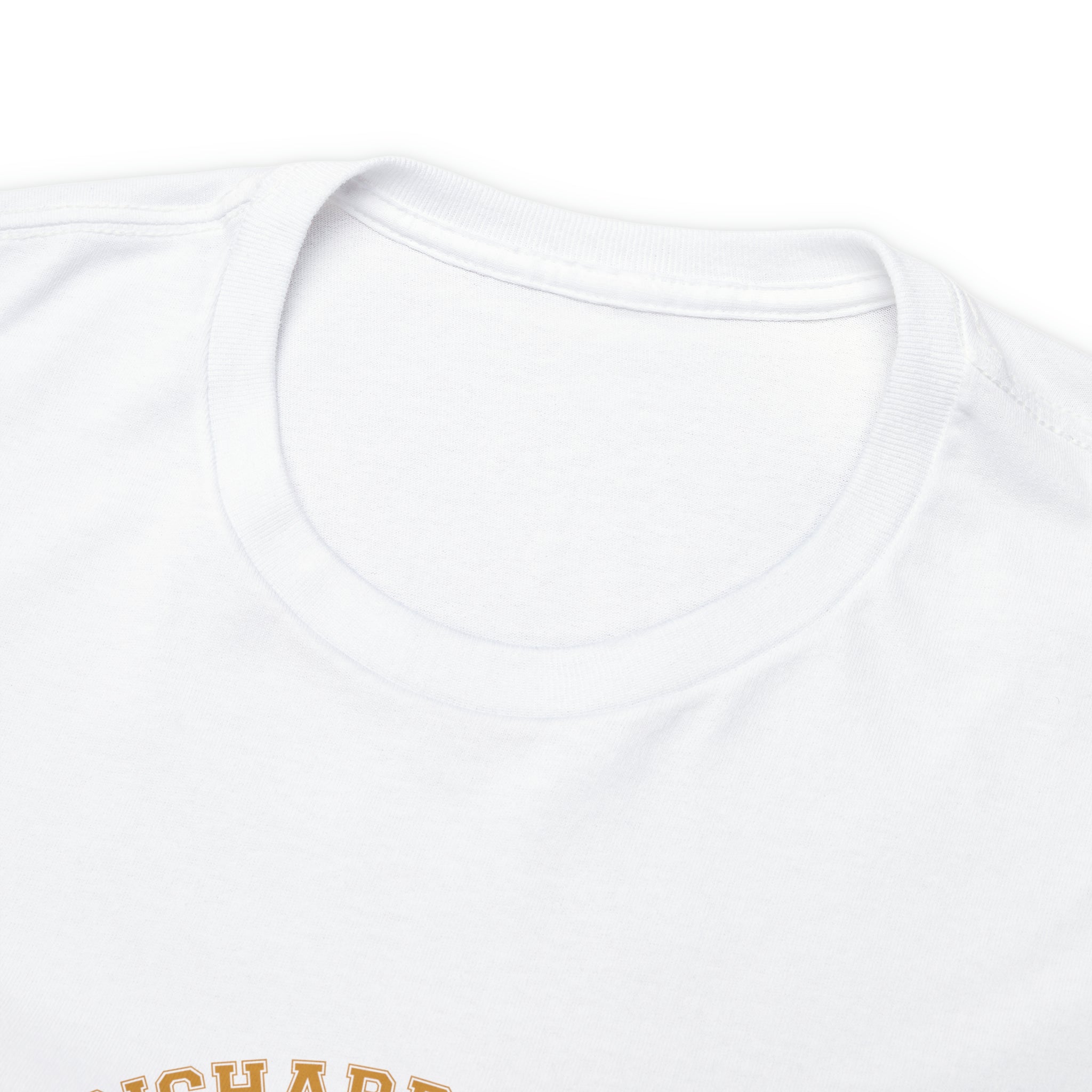 Hidden Richard University Unisex Heavy Cotton Tee